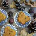 Muffin alla zucca e cioccolato