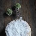Torta del Santo di Padova