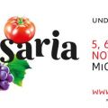 La nostra visita a Golosaria 2016