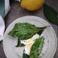 Mozzarella di bufala in foglie di limone