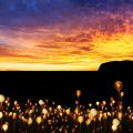 L’installazione luminosa ‘Field Of Light’ ad[...]