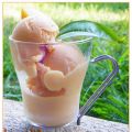 GELATO ALLA PESCA ROSA