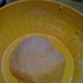 CARTOCCI SICILIANI (GUSCI)