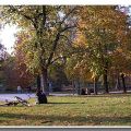 Belle sensazioni dopo la corsa al parco
