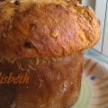 Prima prova pratica di panettone