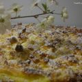 CROSTATA CREMA E RICOTTA