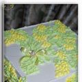 “Torta Mimose per tutte le donne del mondo”