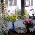 Aspettando la Primevera.....Buona Pasqua