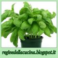 Pesto di basilico