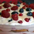 Pan di spagna ai frutti di bosco