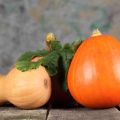 BUDINO DI ZUCCA E ARANCE
