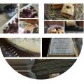 LATTI DA MANGIARE. Le mie ricette di mare e di[...]