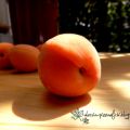 Marmellata di albicocche