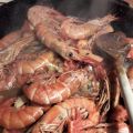 Gamberoni al porto con pompelmo