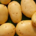 le patate