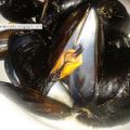 Soutè di cozze