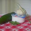 salsa tzatziki