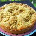 Crumble cake alle albicocche