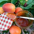 CONFETTURA DI ALBICOCCHE ALLA VANIGLIA ricetta[...]