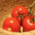 Pomodori gratinati