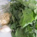 Pesto di Rucola.