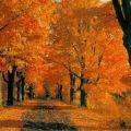 BENVENUTO AUTUNNO!!