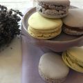 Monsieur le Macaron