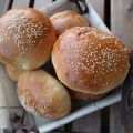 Panini per hamburgher