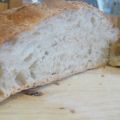 Bread no knead 