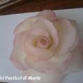 Rose in pasta di mais, piccolo passo passo