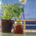 Marmellata di Kumquat