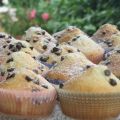 muffin al cocco con gocce di cioccolato