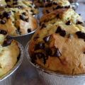 MUFFIN ALLA ZUCCA E CIOCCOLATO