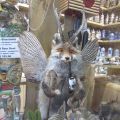 Ein Wolpertinger