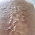 pan di spagna
