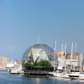 Genova, l'acquario e il pesce sciabola marinato.