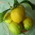 Marmellata di limoni