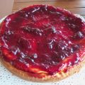 Torta delizia