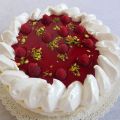Torta dei caraibi di L. Montersino