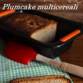 Plumcake multicerali