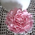 Peonia per una dolce nonnina...