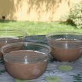 gelato alla nutella  senza gelatiera