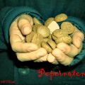 Arte & Salgados Venezia: Appelflappen olandesi,[...]