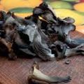 Risotto al vino bianco e funghi trombette su[...]