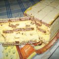 SEMIFREDDO AI WAFER
