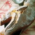 COLOMBA ALLE MANDORLE