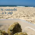 mandonguilles con foglie di carota, lenticchie[...]