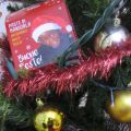 Natale solidale con Cesvi