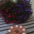 Cheescake al Cappuccino e Cioccolato con[...]