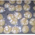 biscotti al limone con bimby